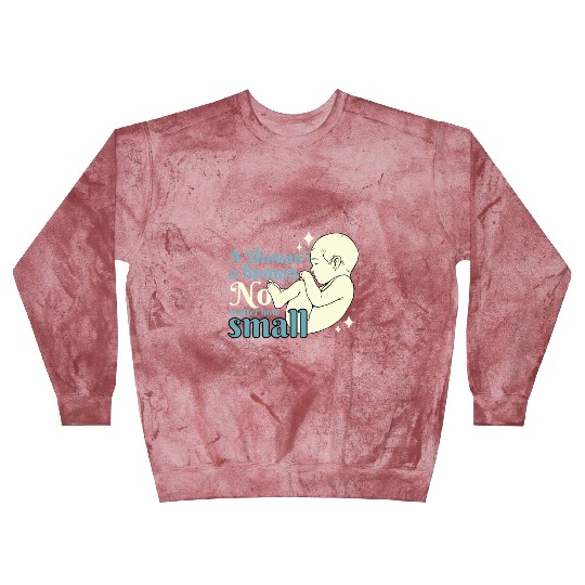 Anti Abortion Pro Life Conservative Gift Idea Blast Sweatshirts