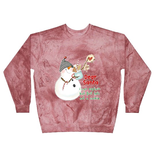 Dear Santa I can explain Blast Sweatshirts