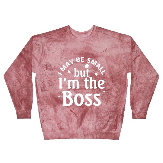 i may be small but im the boss Blast Sweatshirts