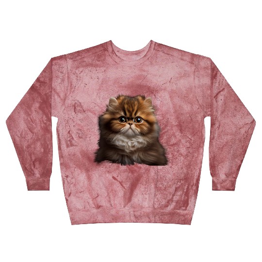 Persian Cat - A Sweet Gift Idea For All Cat Blast Sweatshirts