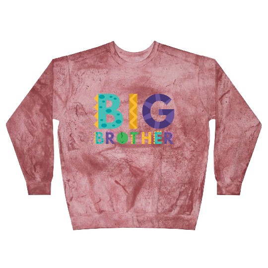 Big Brother Boy Dino Lover Blast Sweatshirts