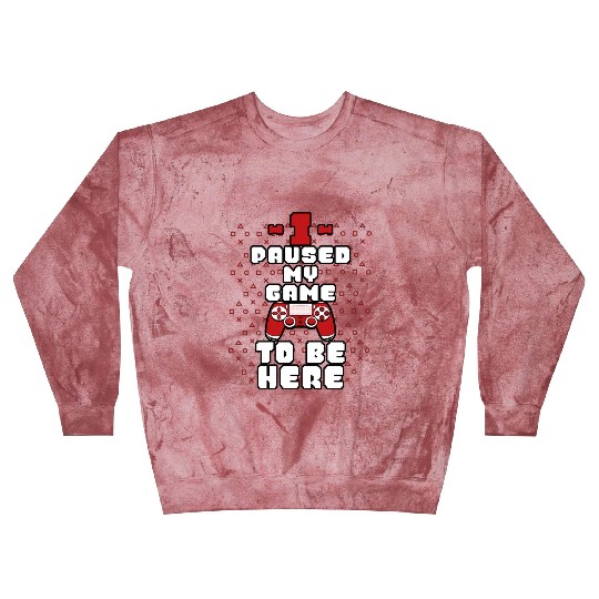 I Paused My Game To Be Here Mens Kids Boys Blast Sweatshirts