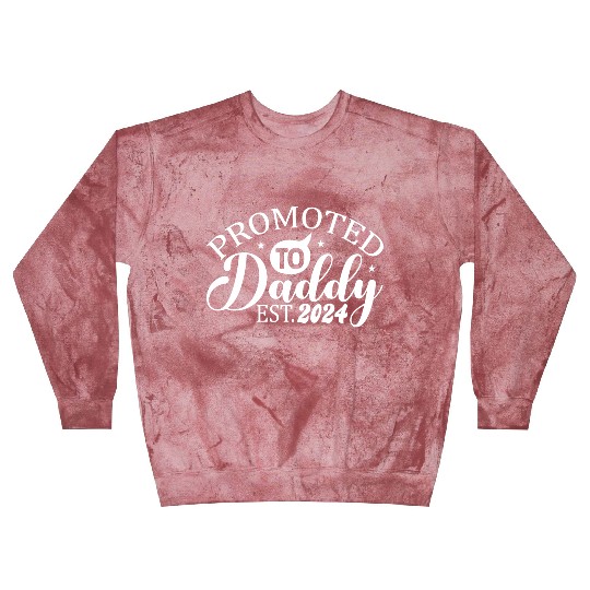 Promoted to daddy 2024 daddy to be Blast Sweatshirts