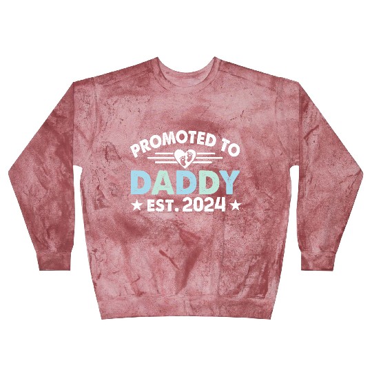Promoted to daddy 2024 daddy to be Blast Sweatshirts