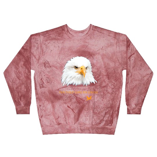 Bald Eagle Gift Idea Focussed like an Eagle Photo Blast Sweatshirts