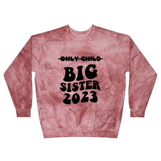 Only Child Expires 2023 Promoted to Big Sister Blast Sweatshirts