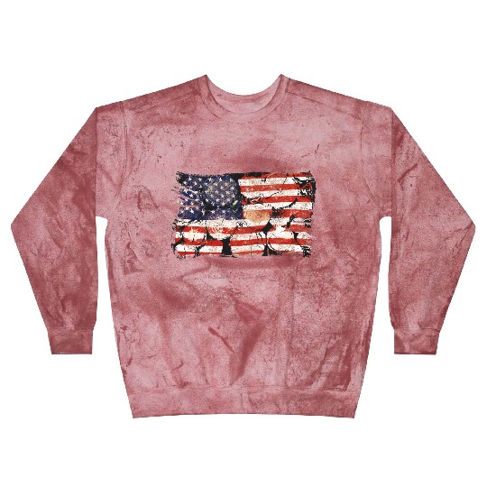 The Usa Flag Tree Trunks America Patriotism Blast Sweatshirts