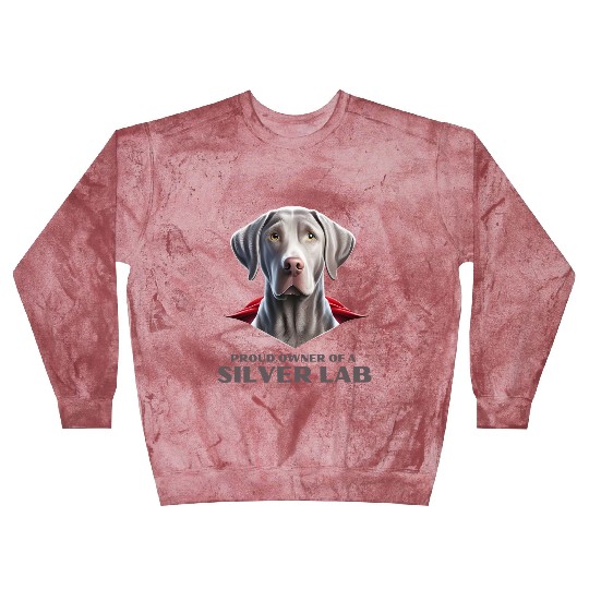 Silver labrador | Proud owner of a Silver lab Blast Sweatshirts