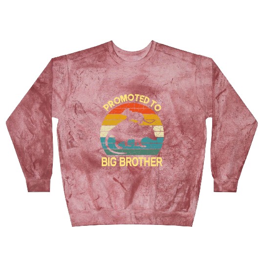 Promoted to big brother Opossum Gift, baby possum Blast Sweatshirts