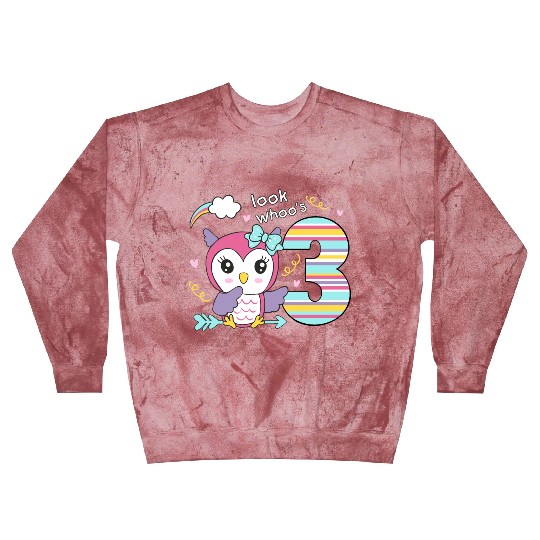 3rd Birthday Cute Owl "Look Whoo´s 3" Girls Gift Blast Sweatshirts