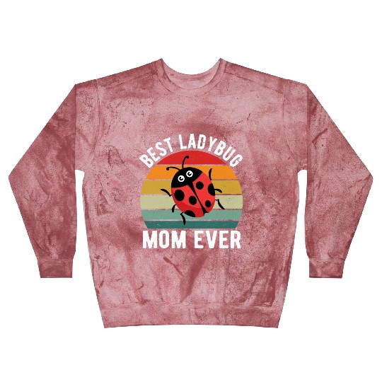 Best Ladybug Mom Ever I Ladybug Blast Sweatshirts