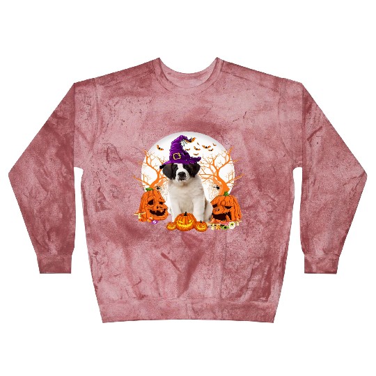 Dog Halloween Saint Bernard Dog Jack O Lantern Blast Sweatshirts