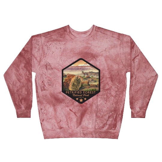 petrified forest national park Blast Sweatshirts