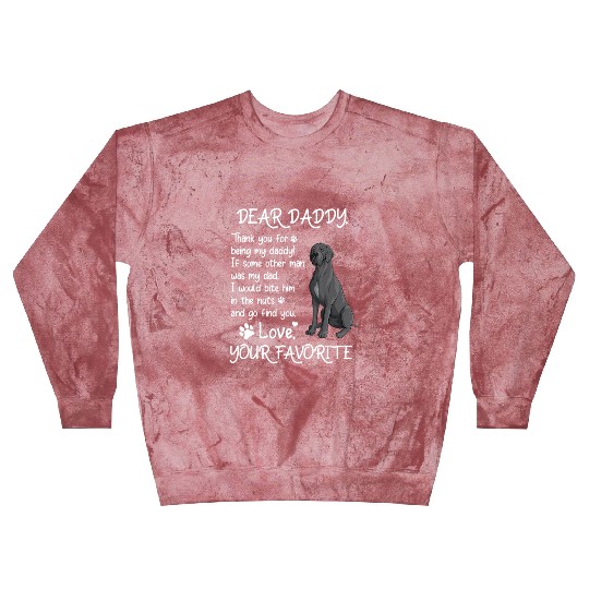 Dear Daddy Great Dane Dog Dad Father s Day Blast Sweatshirts