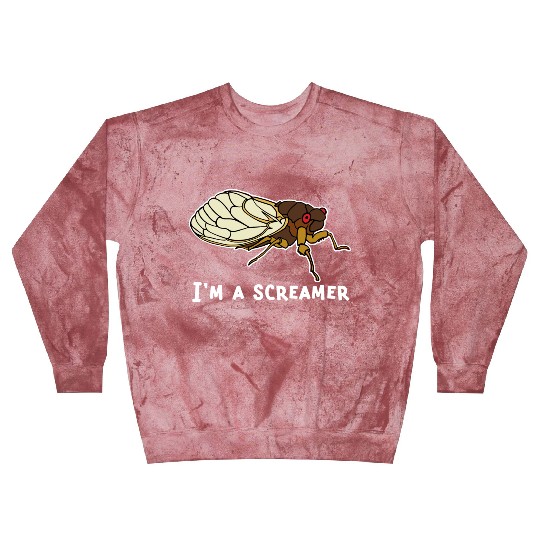 Cicada Song Funny Cicada Invasion I m A Screamer Blast Sweatshirts