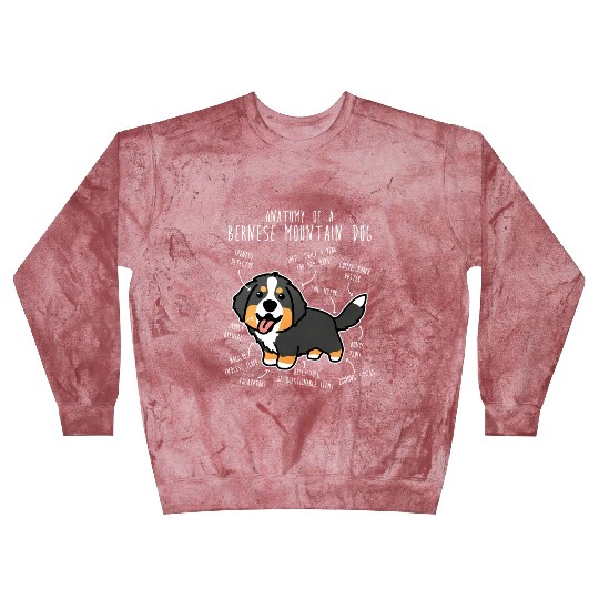 Bernese Mountain Dog Anatomy Blast Sweatshirts