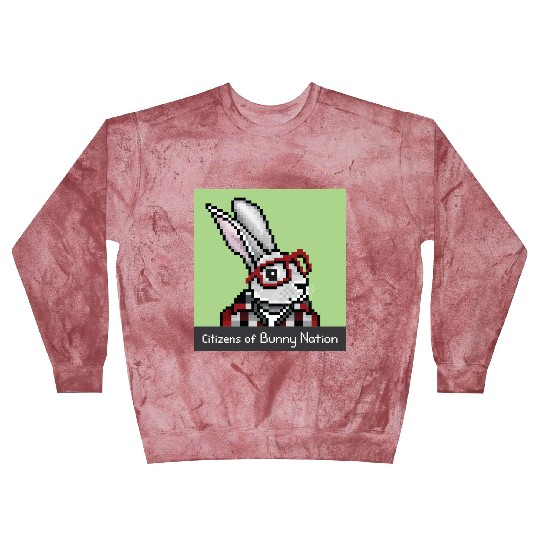 Citizens of Bunny Nation NFT #94 Artwork Blast Sweatshirts