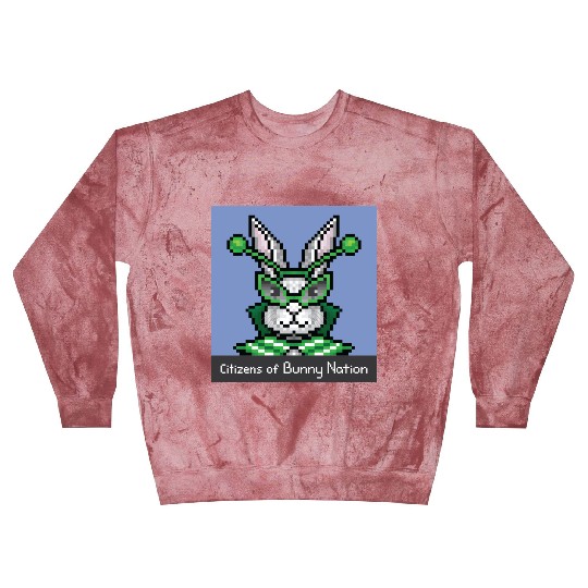 Citizens of Bunny Nation NFT #88 Artwork Blast Sweatshirts