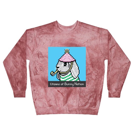 Citizens of Bunny Nation NFT #51 Artwork Blast Sweatshirts