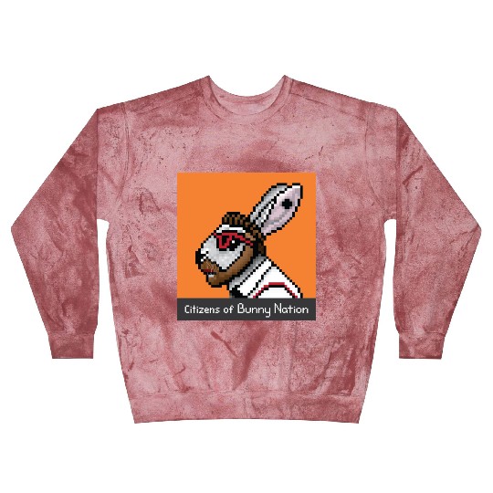 Citizens of Bunny Nation NFT #50 Artwork Blast Sweatshirts