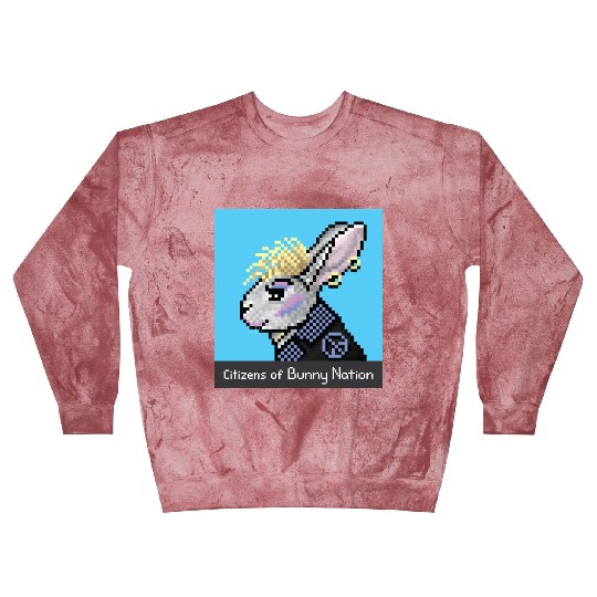 Citizens of Bunny Nation NFT #38 Artwork Blast Sweatshirts