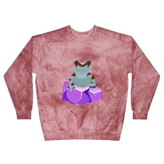 Frog Crystal Amethyst Gemstone For Toad Owners Blast Sweatshirts