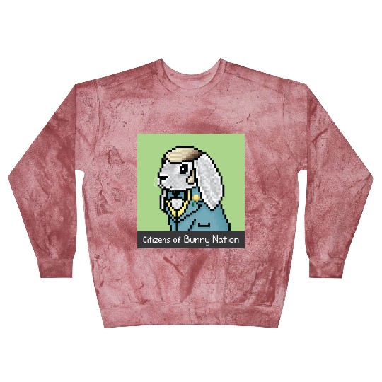 Citizens of Bunny Nation NFT #11 Artwork Blast Sweatshirts