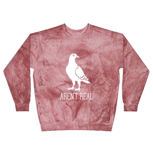 Birds Aren t Real Conspiracy Pigeon Retro Blast Sweatshirts