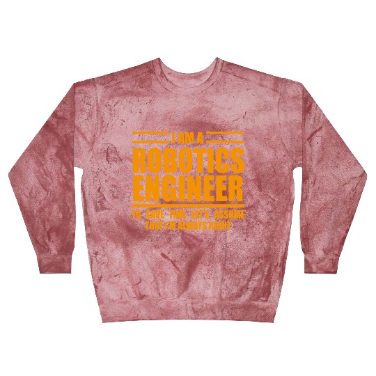 I m A Robotics Engineer To Save Time Just Assume Blast Sweatshirts