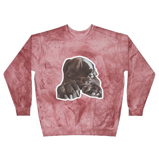 Cane corso in its natural sleeping environment Blast Sweatshirts