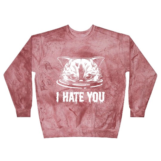 I Hate You Loving Person Gift Blast Sweatshirts