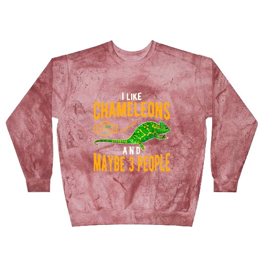 Chameleon Lizard Blast Sweatshirts