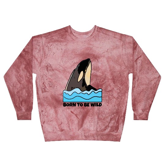 Born to Be Wild: Playful Orca Design Blast Sweatshirts