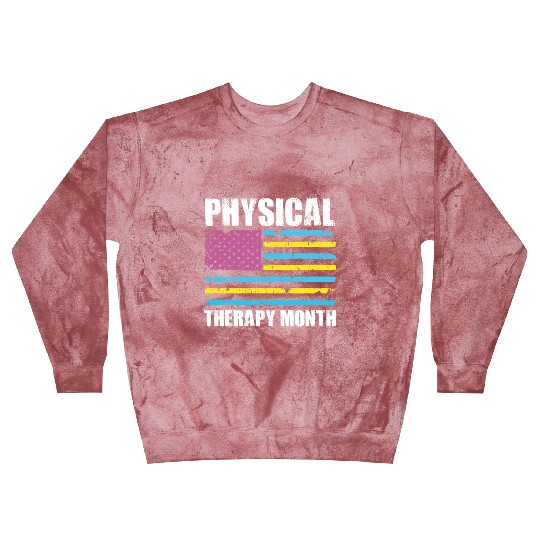 USA Flag PT PTA Physical Therapy Gift Physical Blast Sweatshirts