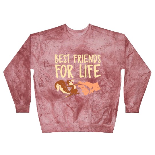 Best Friends For Life Squirrel Fist Bump Animal Blast Sweatshirts