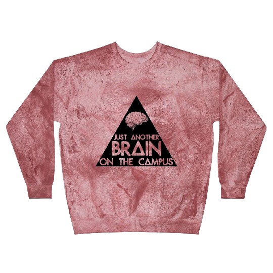 Another Triangle On The Campus Blast Sweatshirts