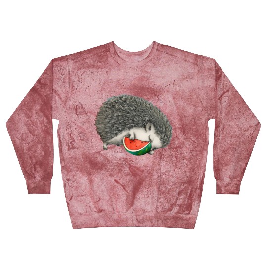 Hedgehog Sleeping With Watermelon Blast Sweatshirts