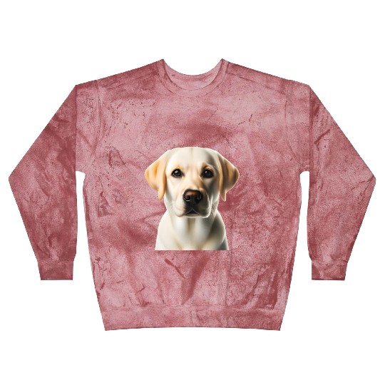 Sweet labrador Blast Sweatshirts