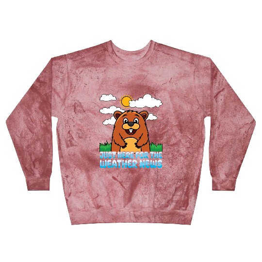 Just Here For The Weather News Happy Groundhog Day Blast Sweatshirts