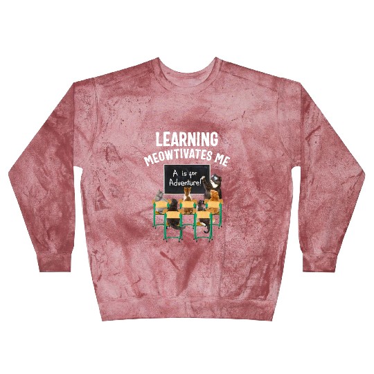 Pre Kindergarten Blast Sweatshirts, Learning Meowtivates Me