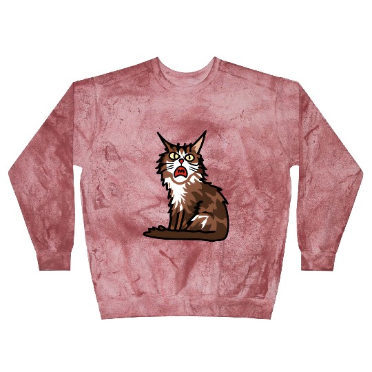 Maine Cat - Grumpy or Surprised Expression Blast Sweatshirts
