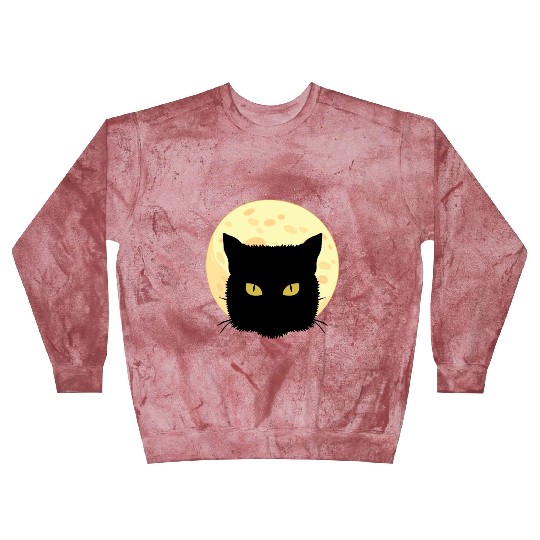 Cat Full Moon Cat Owner Gift Blast Sweatshirts
