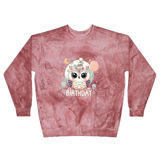 Its My Birthday Sweet Birthday Owl Blast Sweatshirts