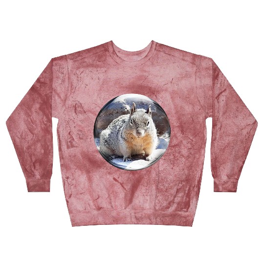 Life In a Bubble Collection- Grand Canyon Squirrel Blast Sweatshirts