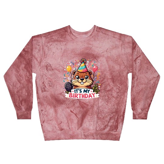 Its My Birthday Sweet Birthday Beaver Blast Sweatshirts