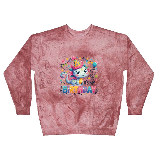 Its My Birthday Sweet Birthday Dragon Blast Sweatshirts