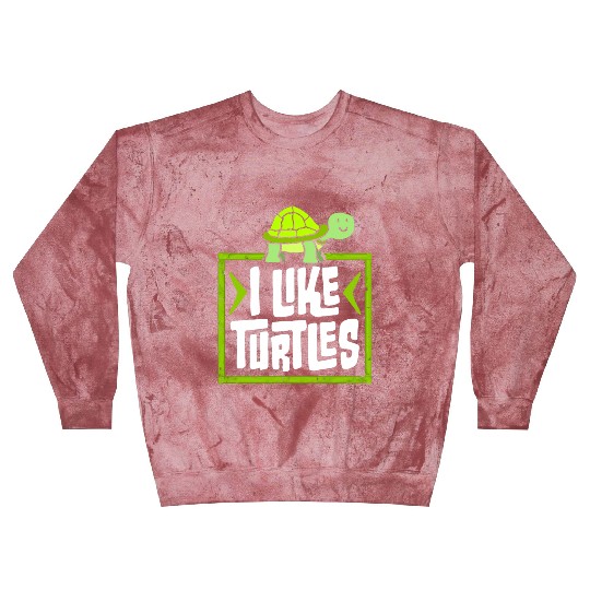 I Like Turtles Cute Tortoise Love Turtle Lover Blast Sweatshirts