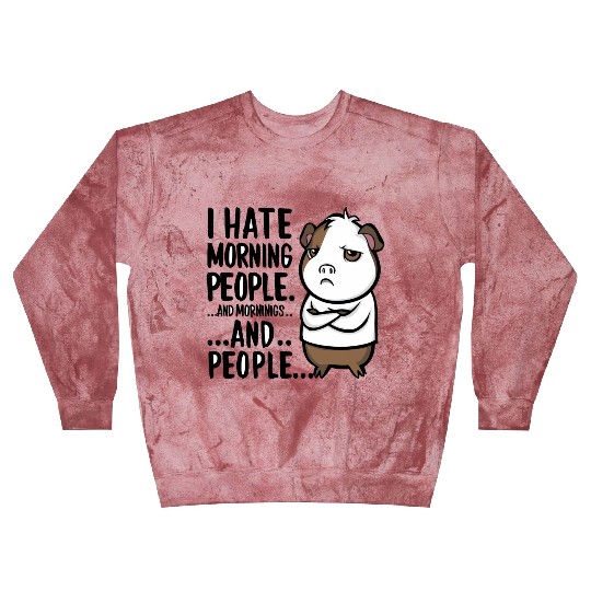 I Hate Morning People for a Morning grumpy Blast Sweatshirts