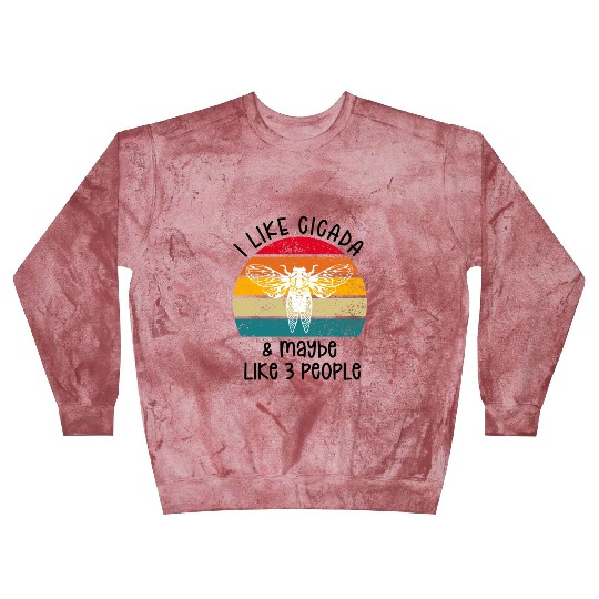 I Like Cicada & Maybe Like 3 People, Retro Sunset Blast Sweatshirts