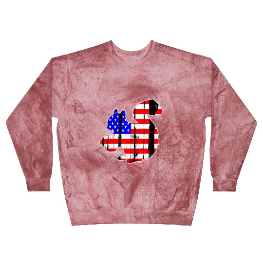 USA American Flag Squirrel Chipmunks Animal Lover Blast Sweatshirts